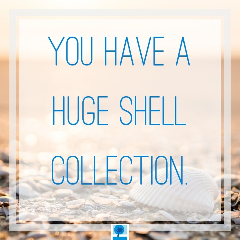 You have a huge shell collection | Island Real Estate