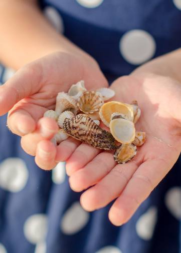 child holding seashells