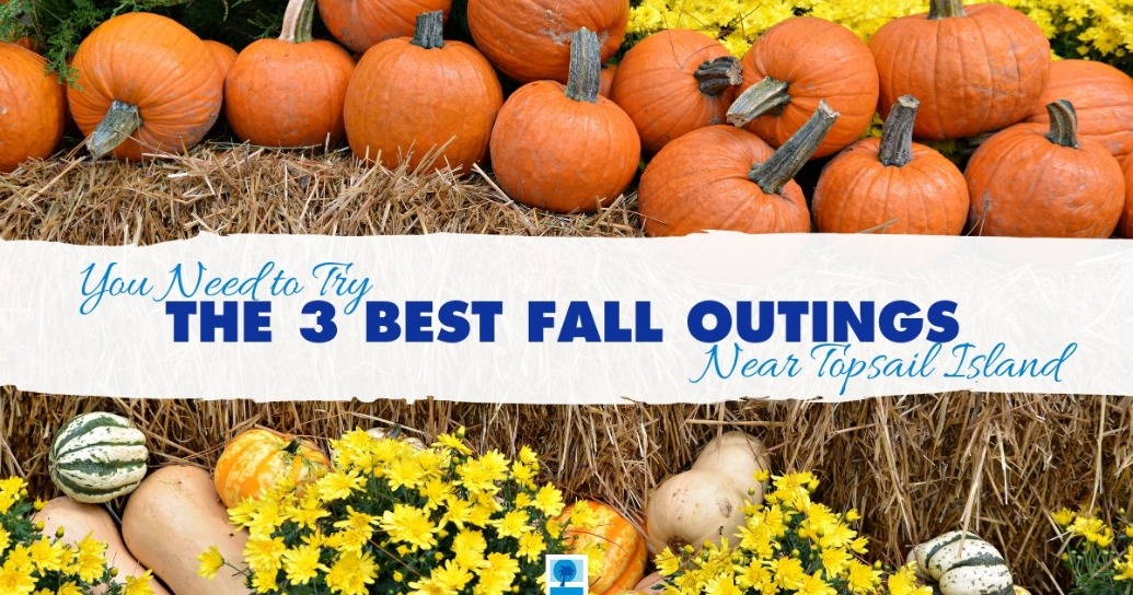You Need to Try The 3 Best Fall Outings Near Topsail Island | Island Real Estate