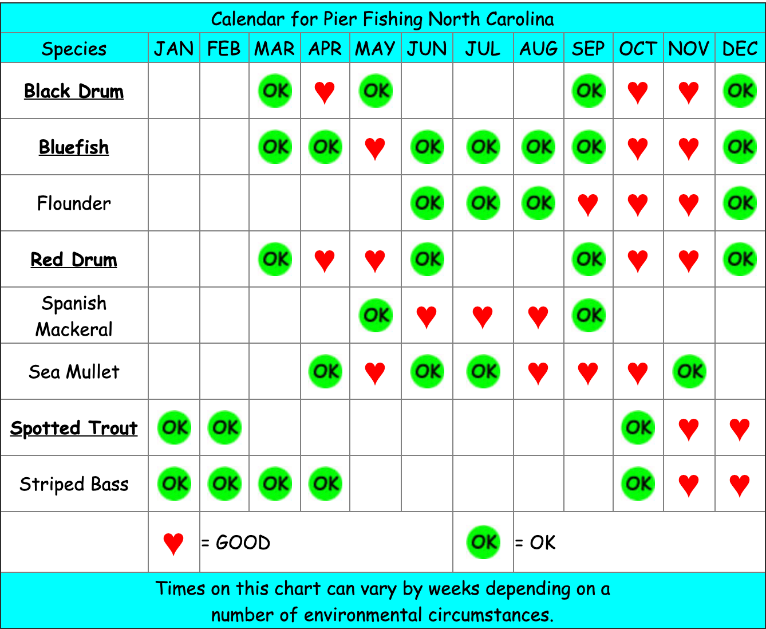 Best Fishing Months In North Carolina Unique Fish Photo