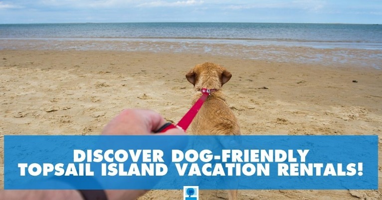Discover Dog-Friendly Topsail Island Vacation Rentals!
