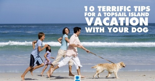 family and dog running on beach