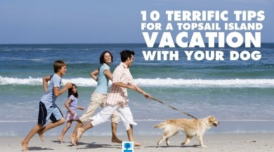 Vacation With Your Dog! | Island Real Estate