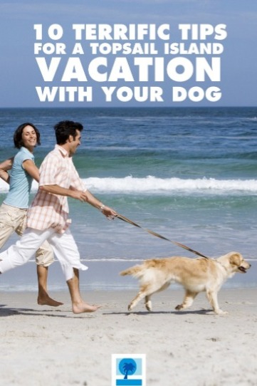 10 Terrific Tips for a Topsail Island Vacation with Your Dog | Island Real Estate