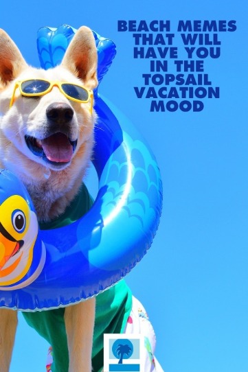 Beach Memes That Will Have You in the Topsail Vacation Mood