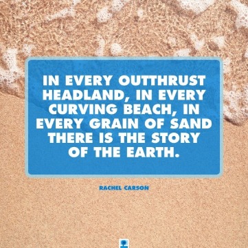 Inspirational Beach Quotes 
