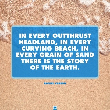 Inspirational Beach Quotes