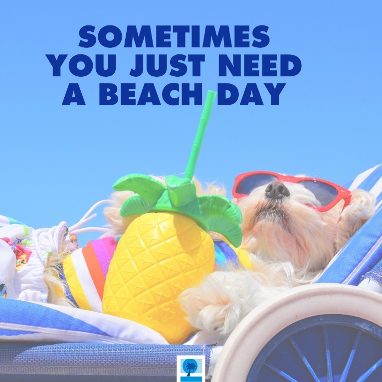 Beach Memes That Will Have You in the Topsail Vacation Mood