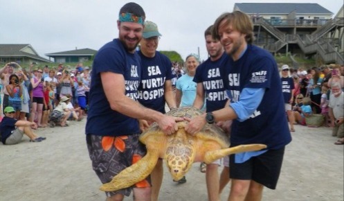 Sea Turtle Hospital of Surf City | Island Real Estate