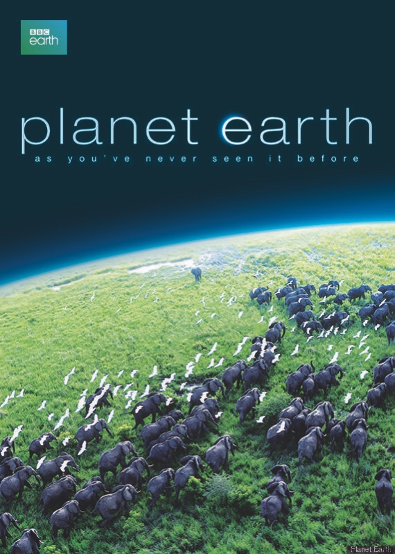 Planet Earth | Island Real Estate