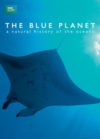 The Blue Planet | Island Real Estate
